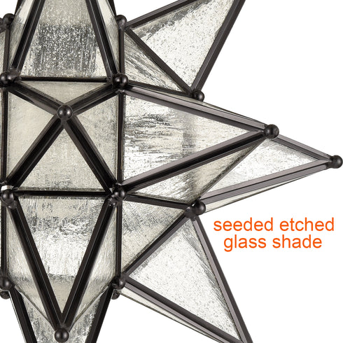Black Moravian Star Ceiling Light Etched Glass Shade